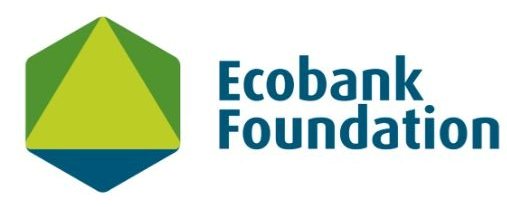 Infrastructure is so much more than bricks and mortar (By Carl Manlan, Chief Operating Officer at Ecobank Foundation, and Michael Mapstone, Director of External Affairs and Global Engagement at the Charities Aid Foundation)